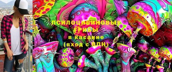гашик Абаза